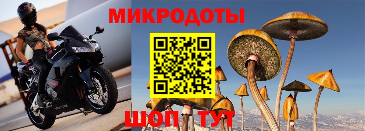 Псилоцибиновые грибы Magic Shrooms Ефремов